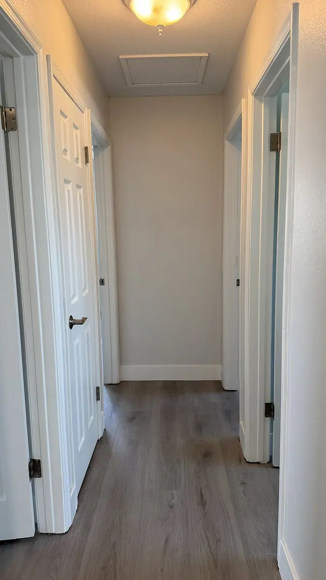 Hallway gray LVP flooring with white door trim by Grain and Stain Renovations in Hendersonville TN